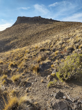 Cerro Villega
